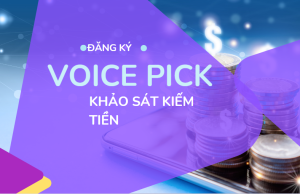 Voice Pick